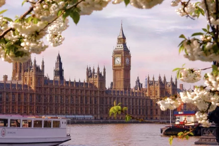 A stunning HD wallpaper featuring Big Ben and the Houses of Parliament in London, framed by blooming flowers along the river, capturing the charm of this iconic cityscape.