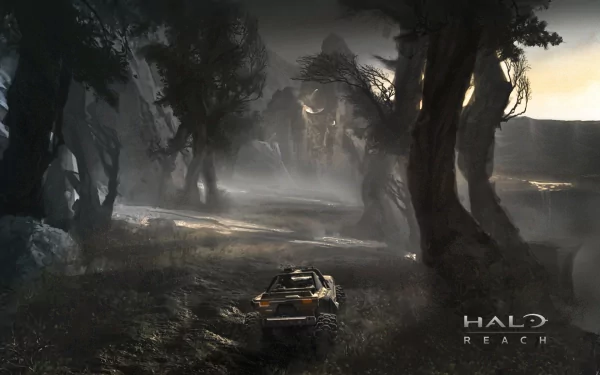 HD PC desktop wallpaper featuring a dark, misty forest landscape from the video game Halo: Reach with a vehicle navigating the terrain at dusk.