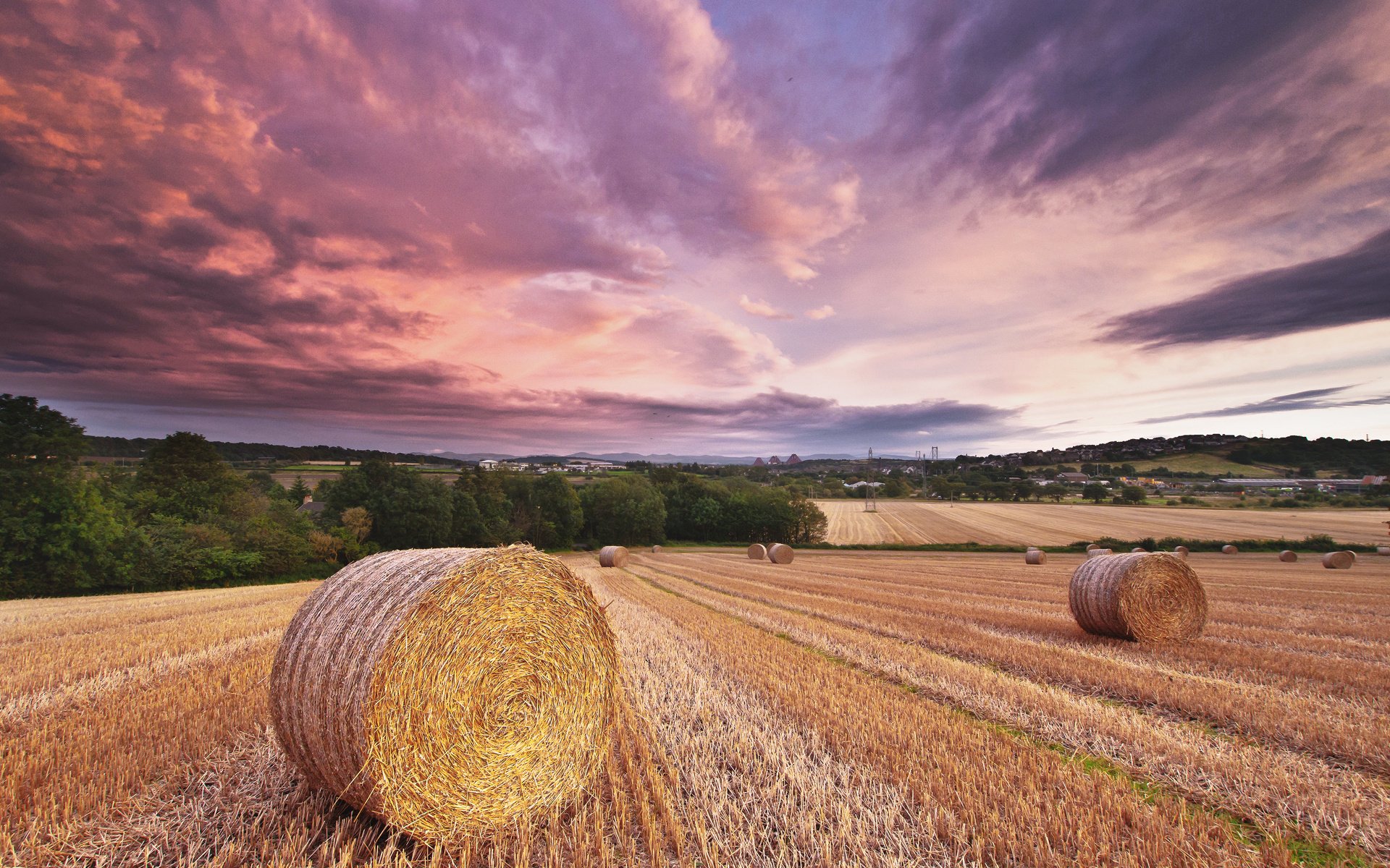 Download Nature Field HD Wallpaper