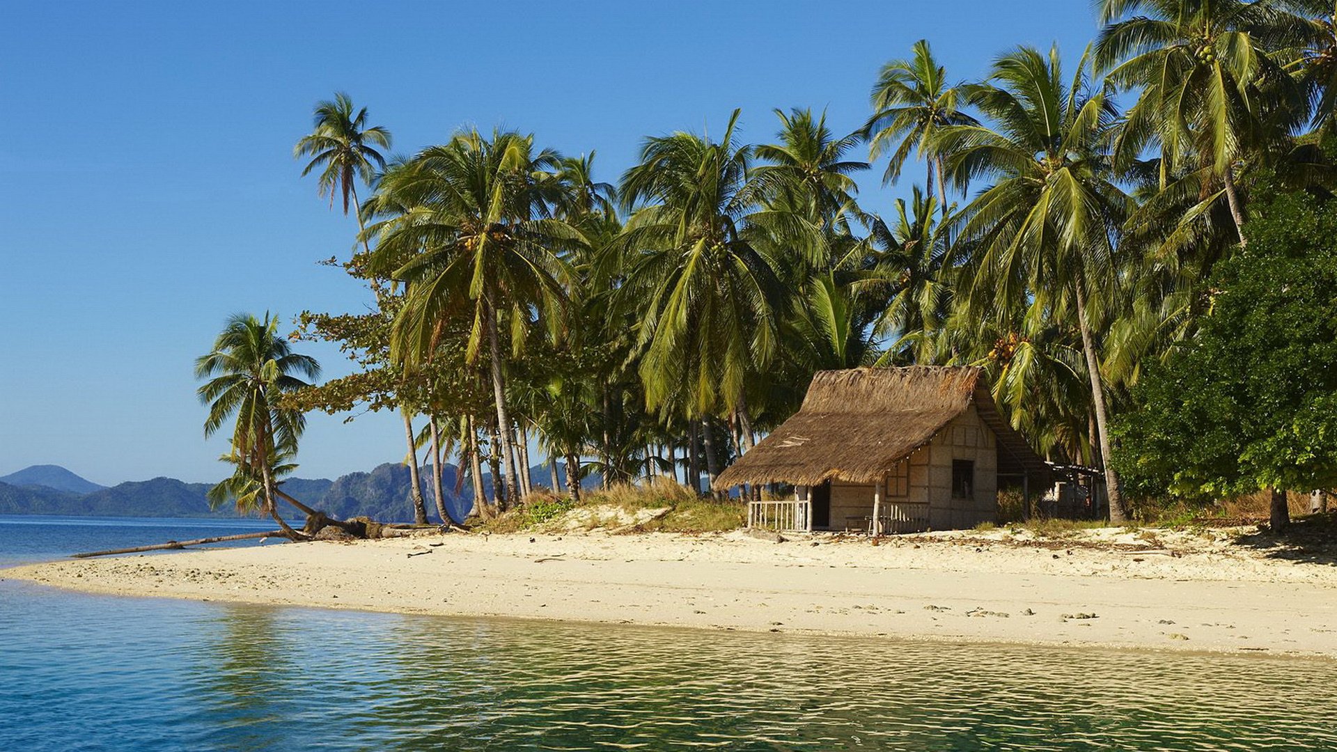 Tropical Beach Escape HD Wallpaper – Serene Photography Paradise ...