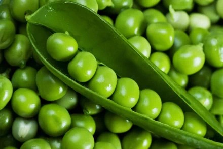 Close-up of fresh green peas in an open pod against a background of loose peas, captured in vibrant 4K Ultra HD as a PC desktop wallpaper and background.