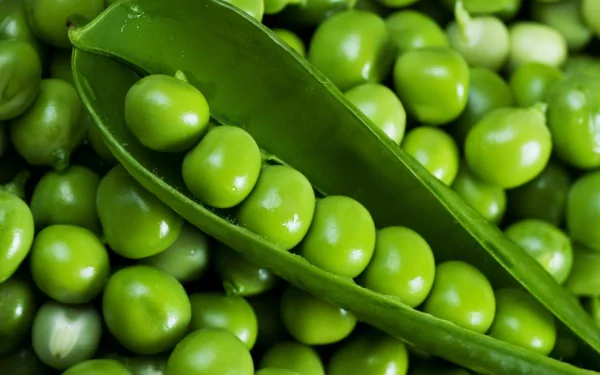 Close-up of fresh green peas in an open pod against a background of loose peas, captured in vibrant 4K Ultra HD as a PC desktop wallpaper and background.