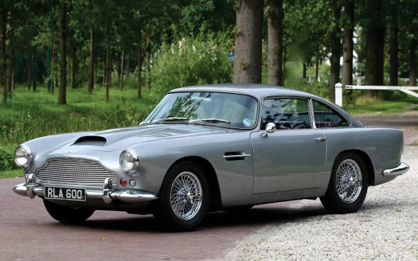 Silver Aston Martin DB4 grand tourer parked on a tree-lined drive — HD PC desktop wallpaper background.
