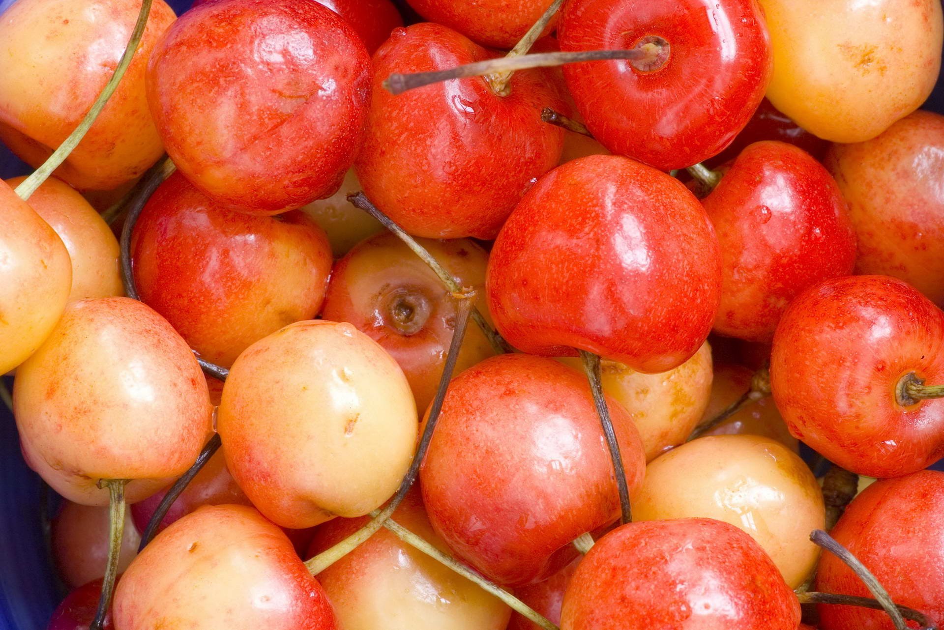 HD desktop wallpaper featuring a close-up of ripe red and yellow cherries, highlighting their glossy texture and fresh appearance.