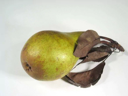 food pear HD Desktop Wallpaper | Background Image