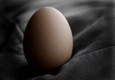 HD desktop wallpaper featuring a close-up of a single egg resting on a textured dark fabric, highlighted by soft, natural lighting.