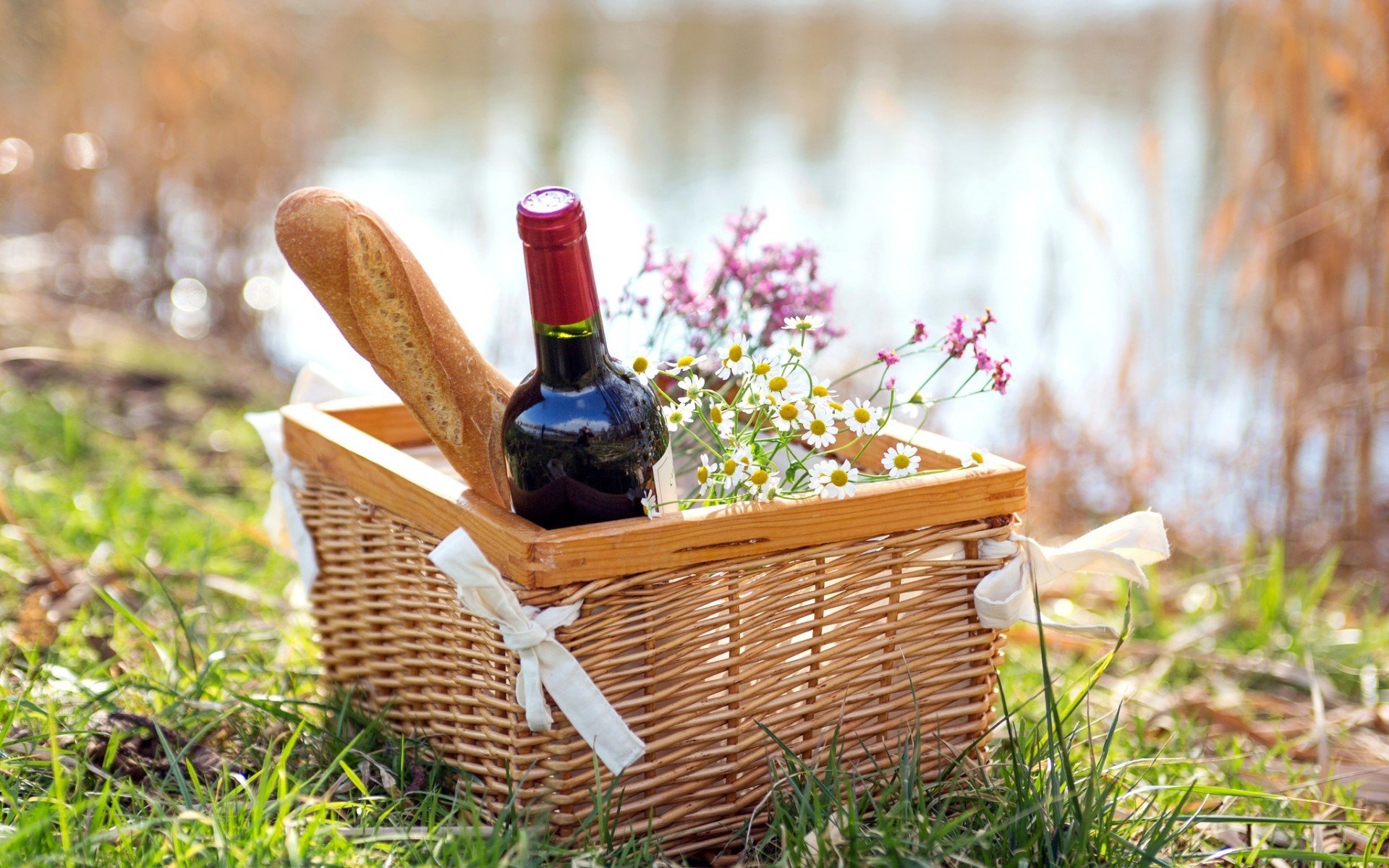 Picnic Full HD Wallpaper and Background Image 1920x1200 