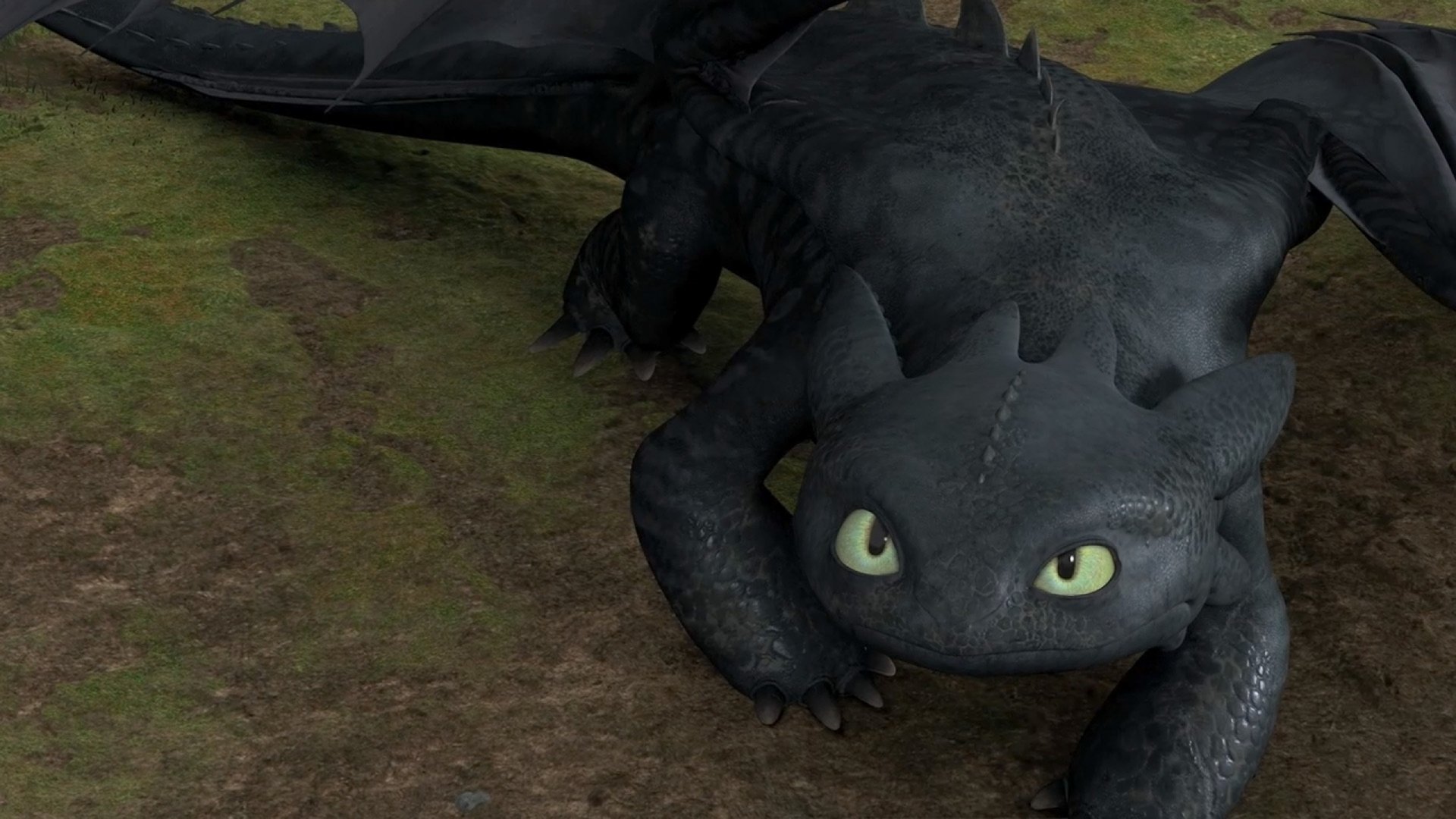 HD PC desktop wallpaper featuring Toothless, the dragon from the movie How to Train Your Dragon, resting on grassy ground with wide green eyes.