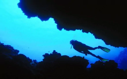 scuba diving Sports HD Desktop Wallpaper | Background Image