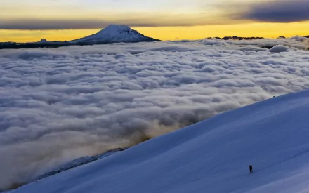 HD PC desktop wallpaper showing a snow-covered slope and lone figure above a vast sea of clouds, a distant mountain peak beneath a golden sky — nature, cloud.