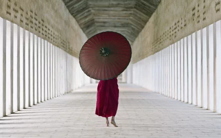 photography umbrella HD Desktop Wallpaper | Background Image