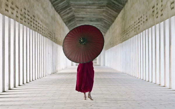 photography umbrella HD Desktop Wallpaper | Background Image