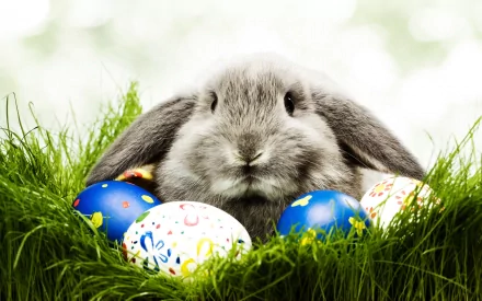 A cute gray bunny sits in lush green grass surrounded by colorful Easter eggs, creating a cheerful atmosphere for a holiday-themed HD desktop wallpaper.