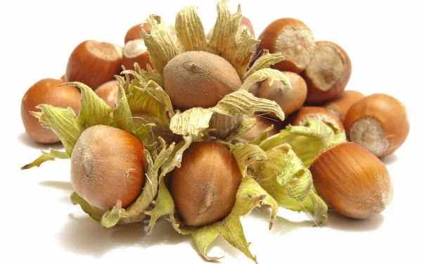 food hazelnut HD Desktop Wallpaper | Background Image