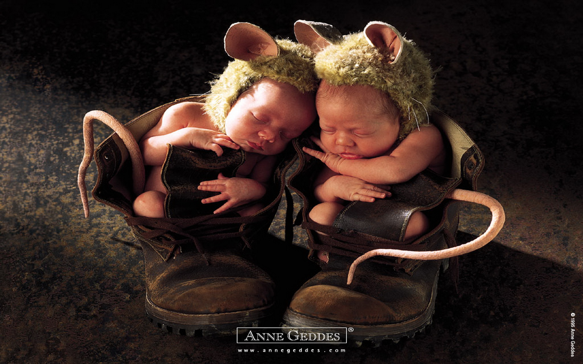 Download Photography Baby HD Wallpaper by Anne Geddes