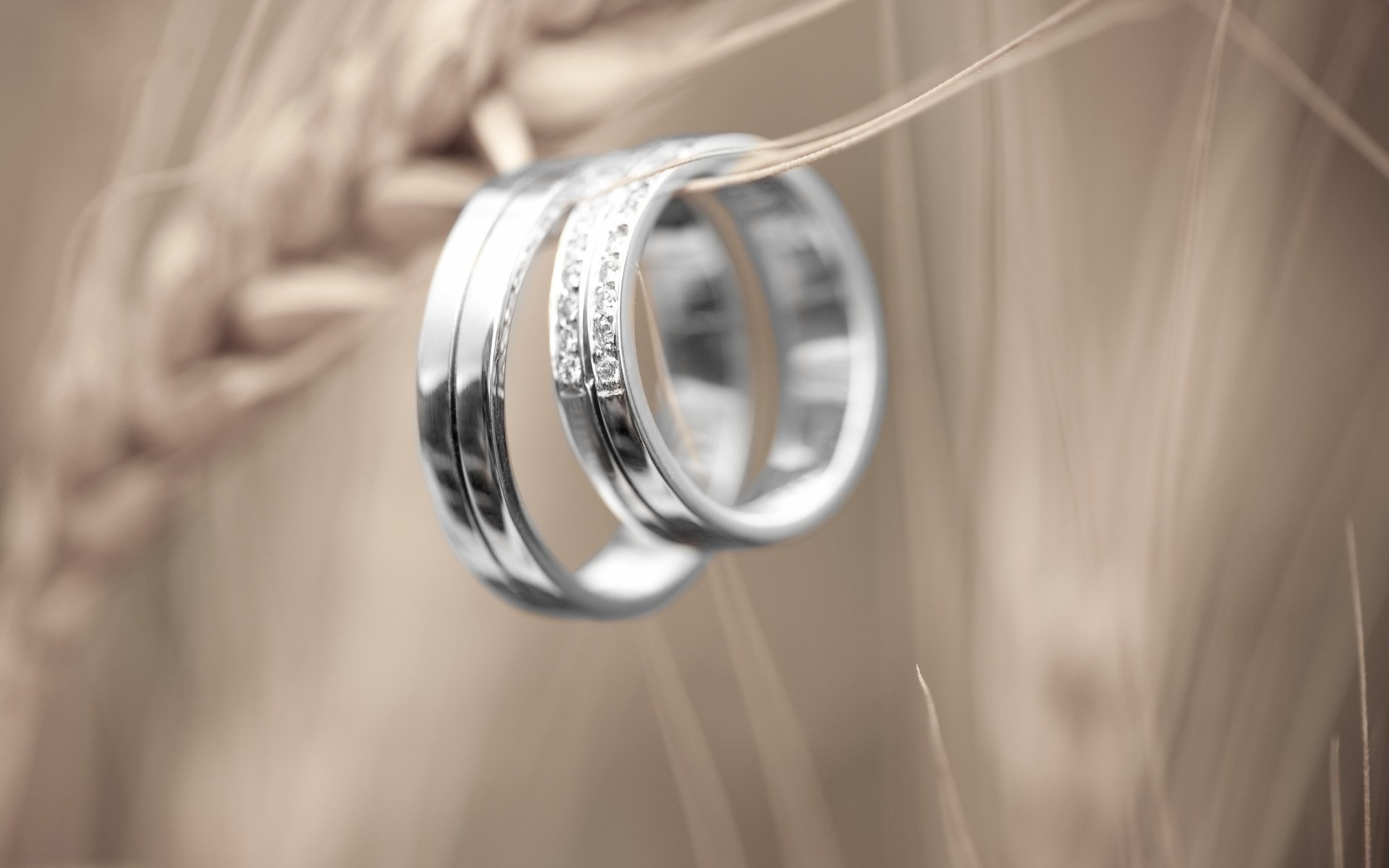 Close-up of two silver rings hanging on a wheat stalk, showcasing man-made jewelry in sharp detail, designed as an HD PC desktop wallpaper and background.