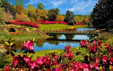 HD desktop wallpaper featuring vibrant photography of a colorful park with blooming flowers, lush trees, and a calm pond reflecting a bright blue sky.