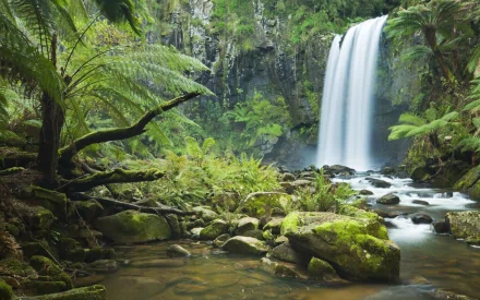 Lush green tropical forest with dense ferns surrounding a cascading waterfall, captured in high-definition for a vibrant PC desktop wallpaper.