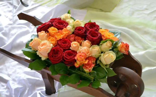 A vibrant still life featuring a wheelbarrow overflowing with red and colorful roses, set against a soft white background, showcasing the beauty of flowers and man-made elements.