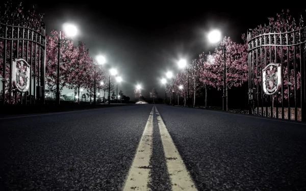 man made lamp post HD Desktop Wallpaper | Background Image