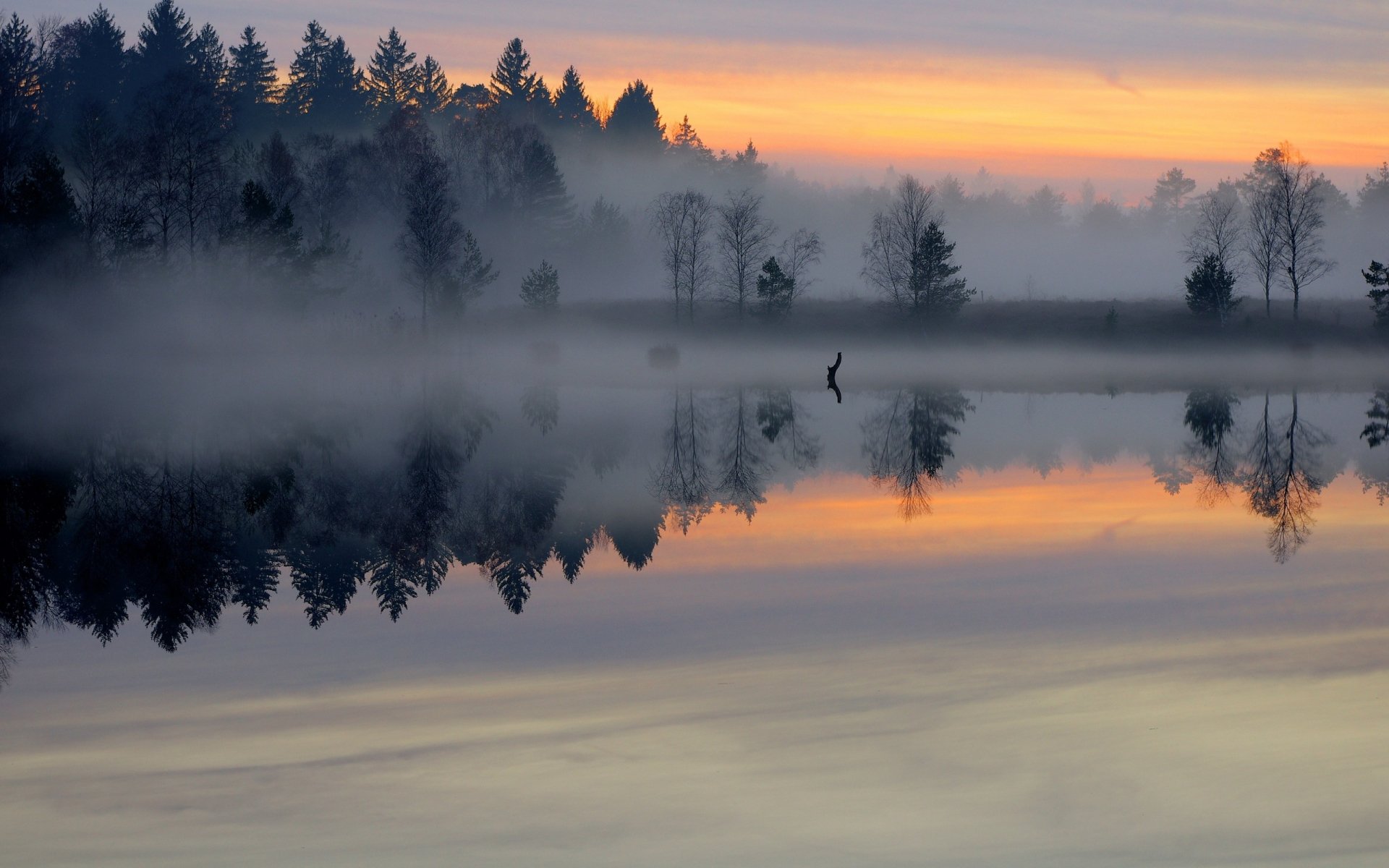 Serene Nature Reflection - HD Wallpaper | 2560x1600 | Wallpaper Abyss