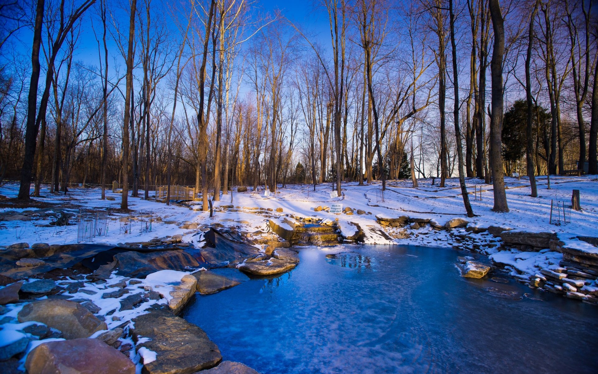 A serene winter landscape featuring a frozen pond surrounded by bare trees, capturing the tranquility of nature in a crisp, snowy setting. An inviting HD desktop wallpaper.