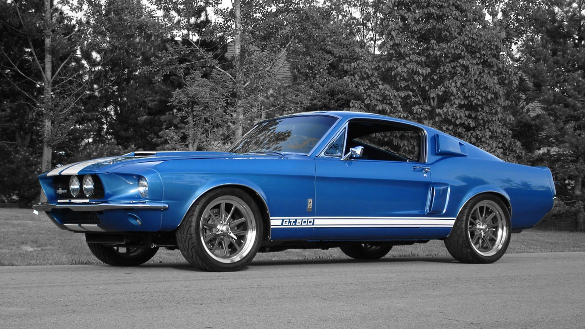 HD PC desktop wallpaper of a blue Ford Mustang GT500 vehicle — classic fastback parked on pavement with trees behind.