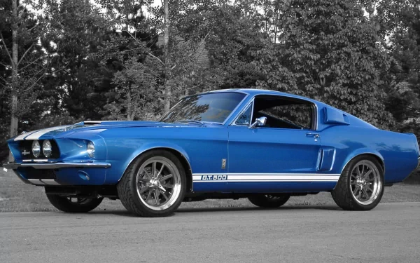 HD PC desktop wallpaper of a blue Ford Mustang GT500 vehicle — classic fastback parked on pavement with trees behind.