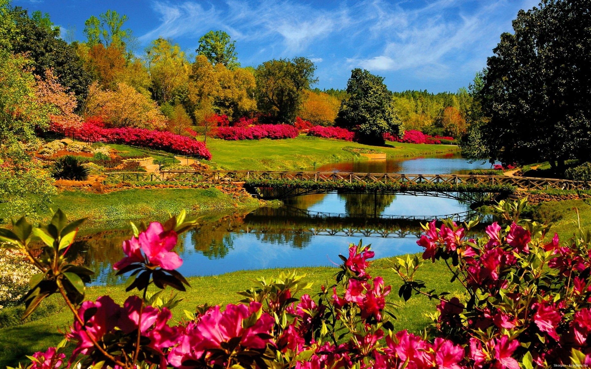 HD photography desktop wallpaper capturing a vibrant park scene with blooming flowers, lush greenery, and a serene pond under a bright blue sky.