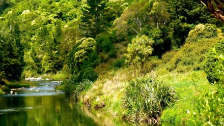 nature stream HD Desktop Wallpaper | Background Image