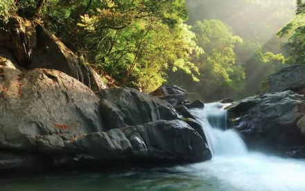 HD desktop wallpaper showcasing a serene forest stream flowing over rocks, surrounded by lush green trees and soft sunlight filtering through the foliage.