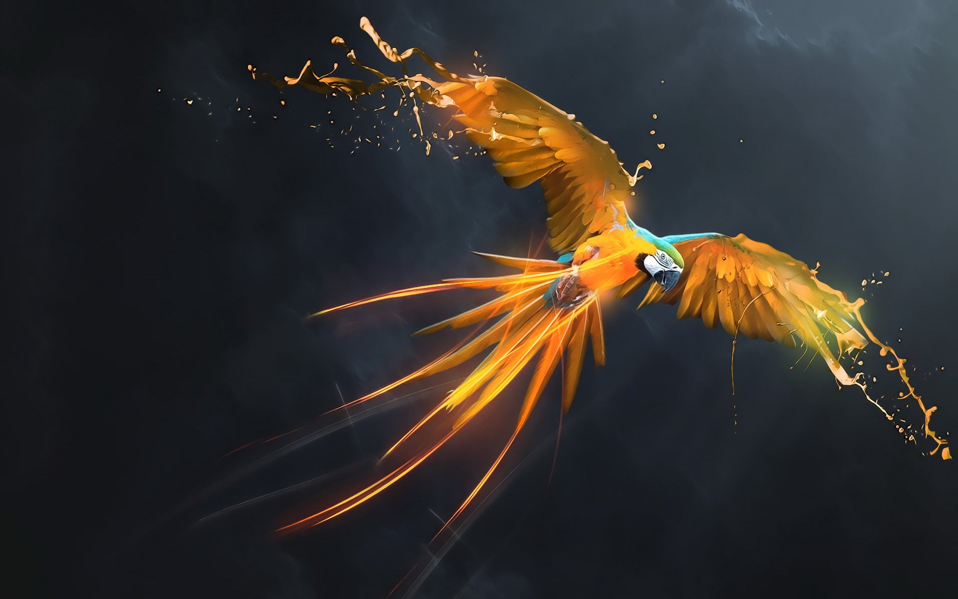 Flying Parrot Wallpaper