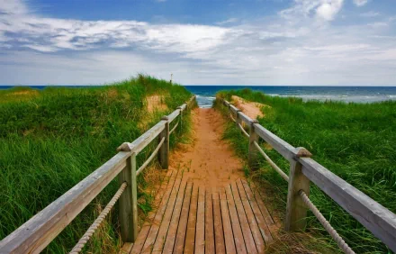 A scenic wooden bridge leads through lush grass to the ocean, under a bright sky. This beautiful HD wallpaper captures a peaceful natural path.