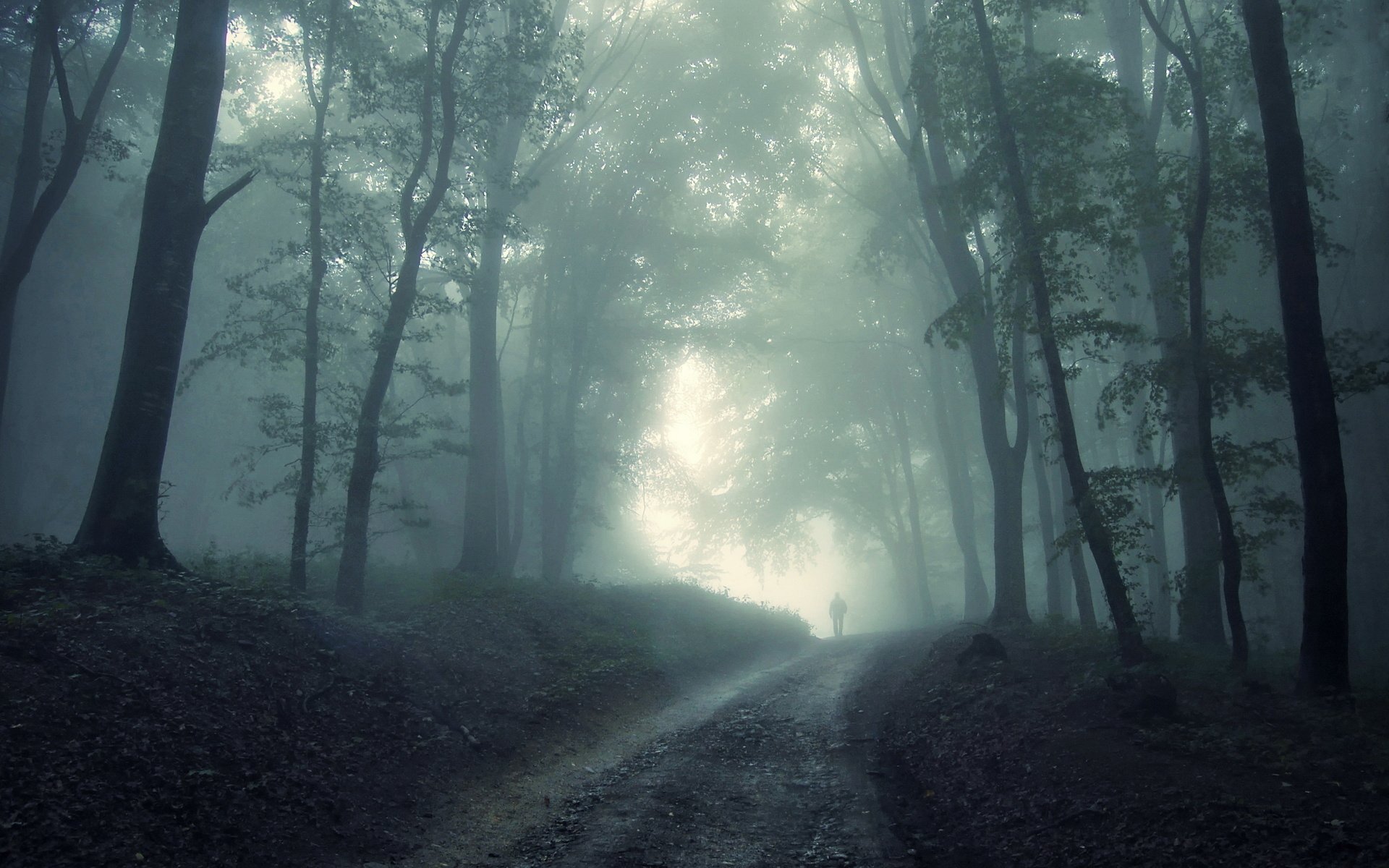 HD PC desktop wallpaper: fog-laden forest trail, tall trees veiled in mist, soft light piercing the haze and a lone silhouette in the distance.