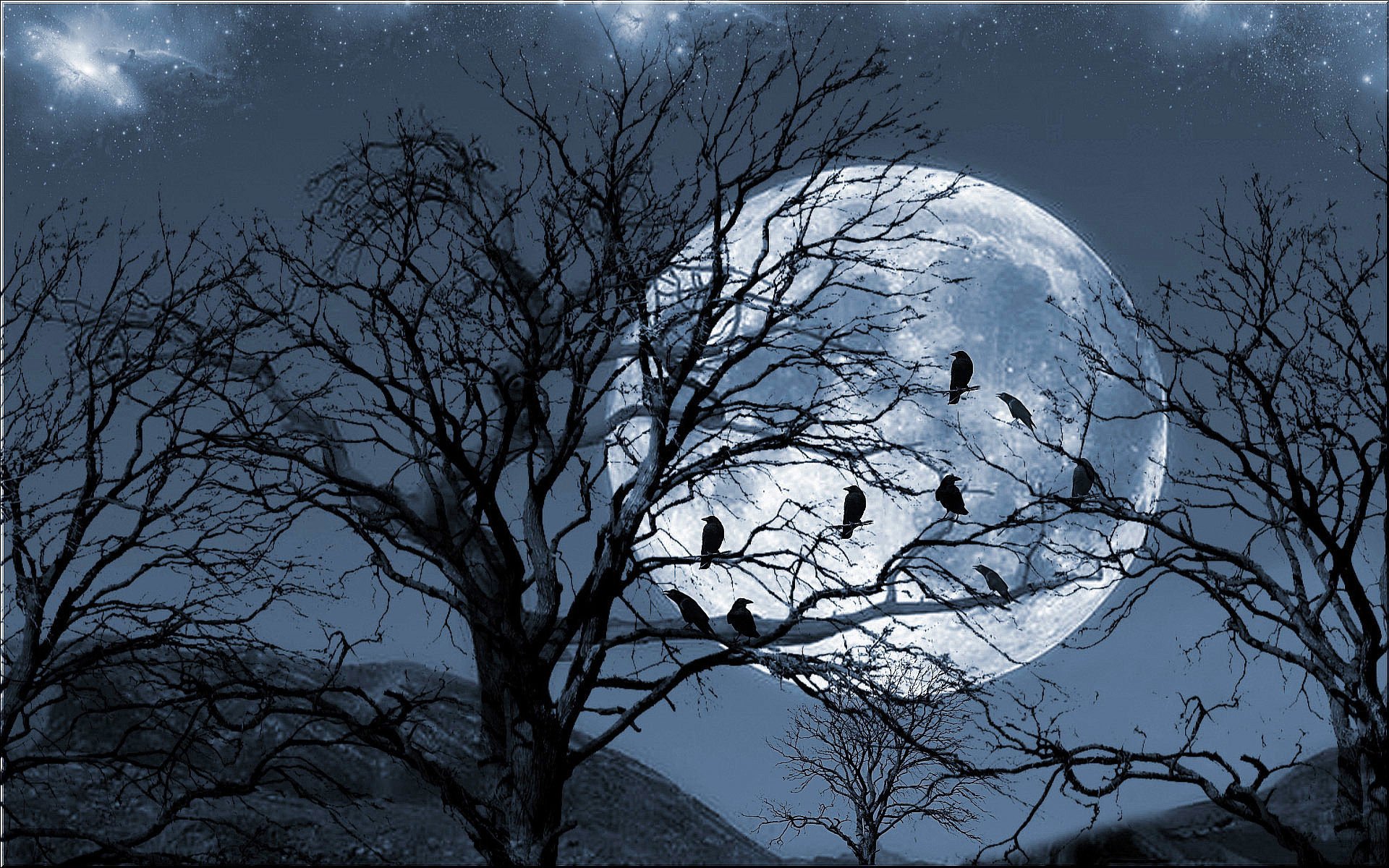 A dramatic nighttime scene featuring silhouetted trees and a full moon, with crows perched among the branches. This captivating image serves as an HD wallpaper and background.