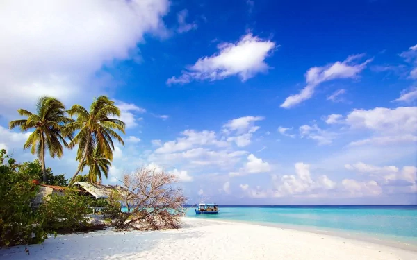 A stunning tropical scene featuring palm trees, a serene beach, and a tranquil ocean under a vibrant blue sky, captured in high-definition for a desktop background.