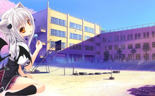 Anime High School DxD Koneko Toujou HD Wallpaper | Background Image