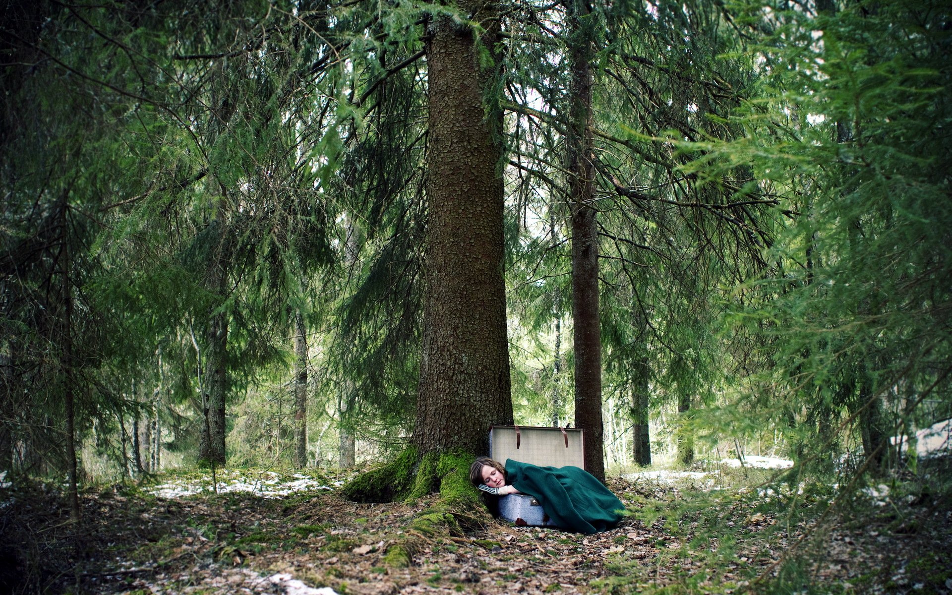 A woman rests on the forest floor, nestled against a massive tree trunk, enveloped in a green blanket. This serene scene, filled with lush greenery, serves as a calming HD desktop wallpaper and background.