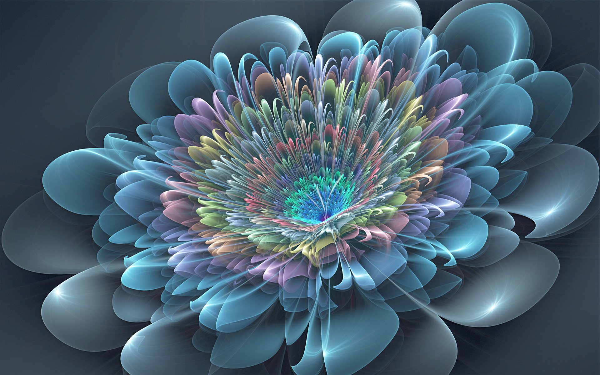 Flower HD Wallpaper | Background Image | 1920x1200 | ID ...