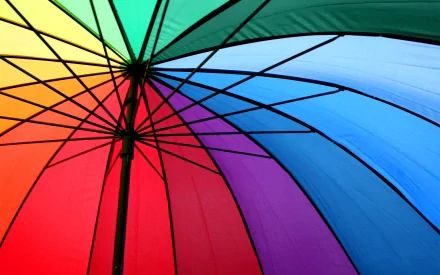 photography umbrella HD Desktop Wallpaper | Background Image