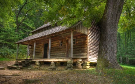 HD desktop wallpaper of a man-made wooden cabin nestled in a lush green forest with large trees surrounding it.