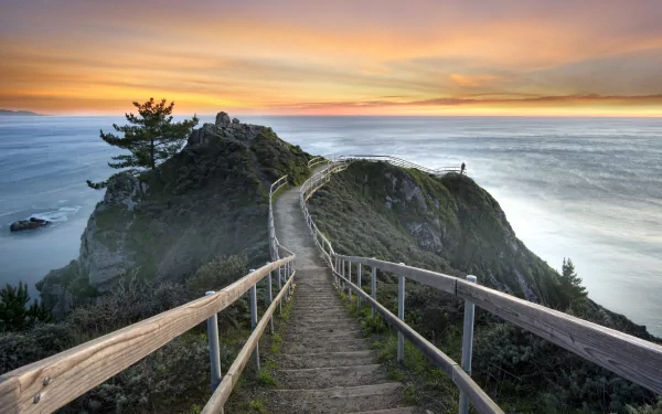 HD PC desktop wallpaper/background: man-made wooden stairs with railings leading across a rocky islet to an ocean sunset viewpoint, misty waves and silhouetted trees.