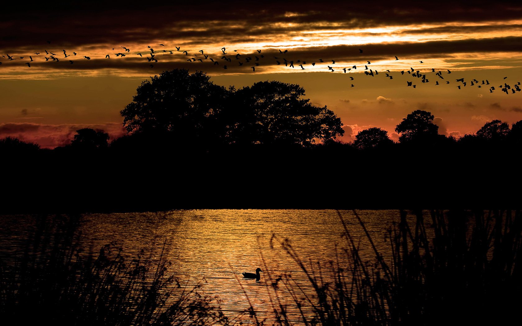 Nature Lake Wallpaper