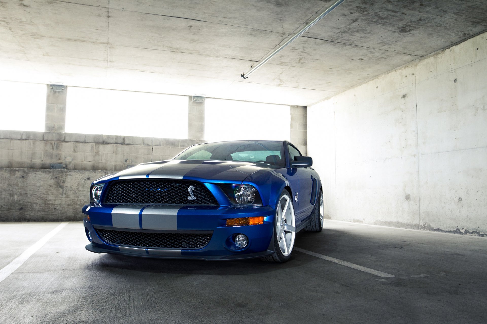 Download Vehicle Ford Mustang Shelby GT500  HD Wallpaper