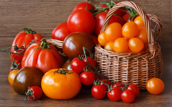 A vibrant assortment of tomatoes in various shapes and colors, accompanied by a woven basket filled with golden cherry tomatoes, set against a rustic wooden background.