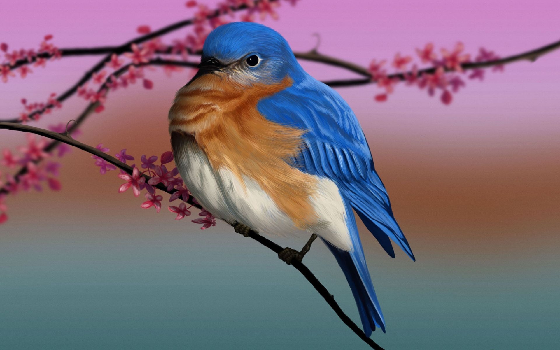 Download Branch Eastern Bluebird Animal Bird Hd Wallpaper