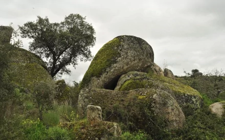 HD PC desktop wallpaper of large moss-covered rocks surrounded by trees under an overcast sky in a natural landscape.