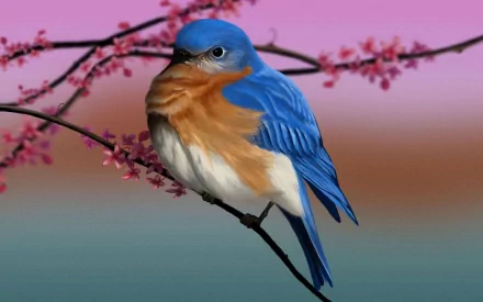 branch eastern bluebird Animal bird HD Desktop Wallpaper | Background Image