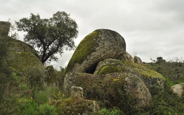 HD PC desktop wallpaper of large moss-covered rocks surrounded by trees under an overcast sky in a natural landscape.