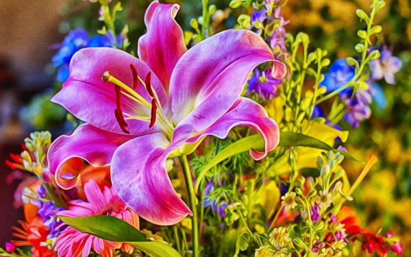 Earth Flower Flowers Lily HD Wallpaper | Background Image